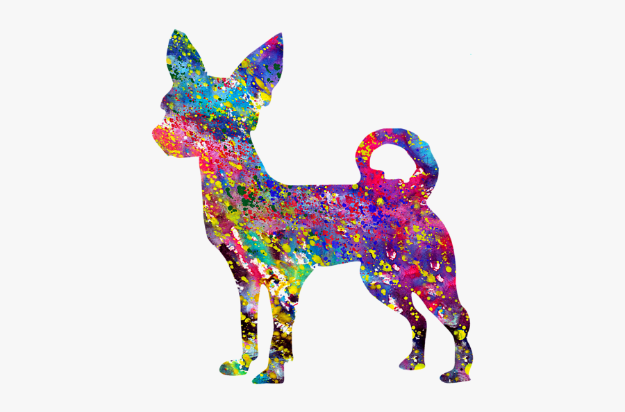 Chihuahua, Transparent Clipart