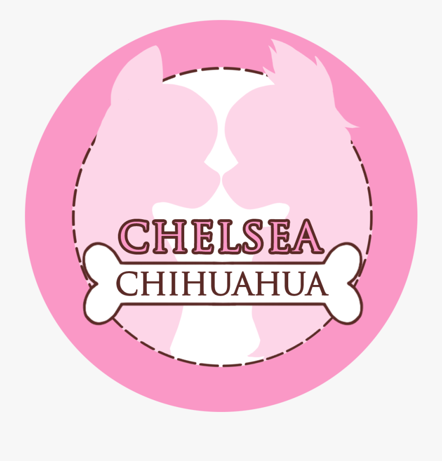 Circle, Transparent Clipart