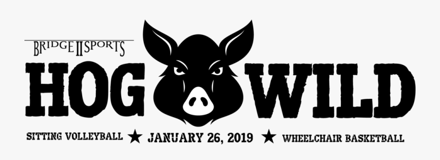 Bridge Ii Sports, Transparent Clipart