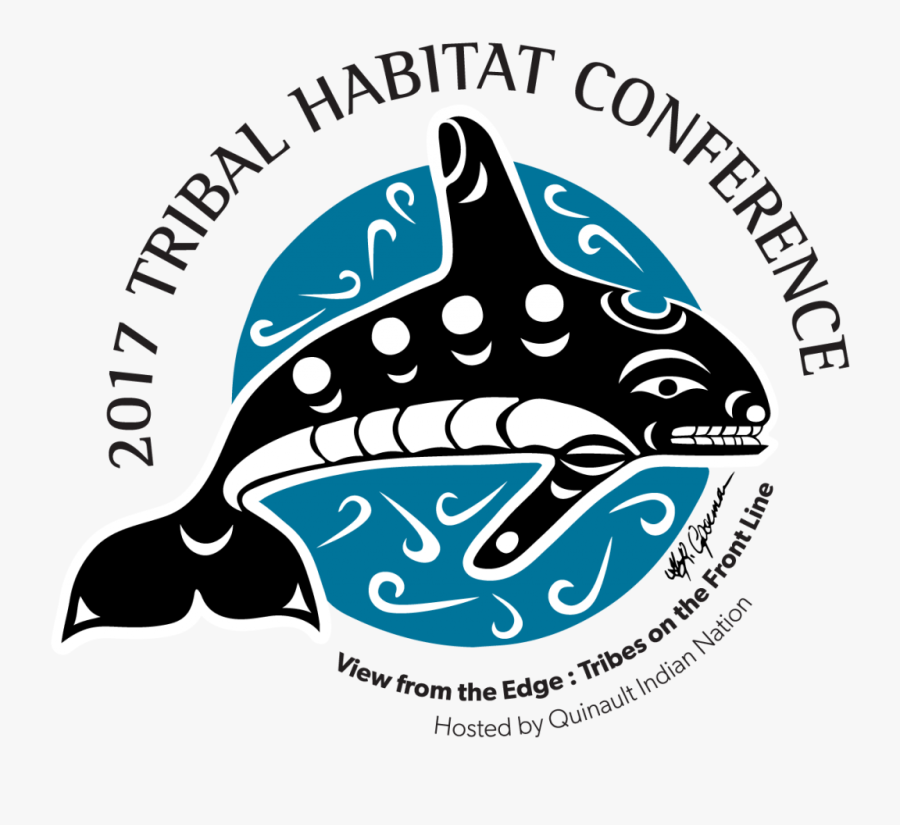 Orca Artwork By Guy Capoeman, Transparent Clipart