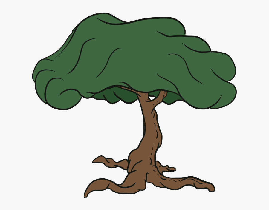 Tree - Oak, Transparent Clipart