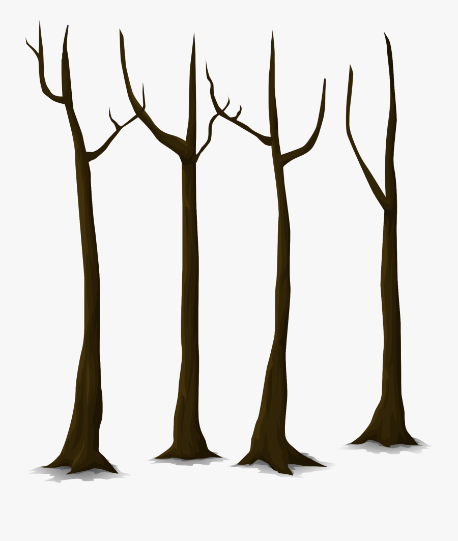Tree Dead Trunk Nature Leaves Png Image - Tree Trunk Vector Png, Transparent Clipart