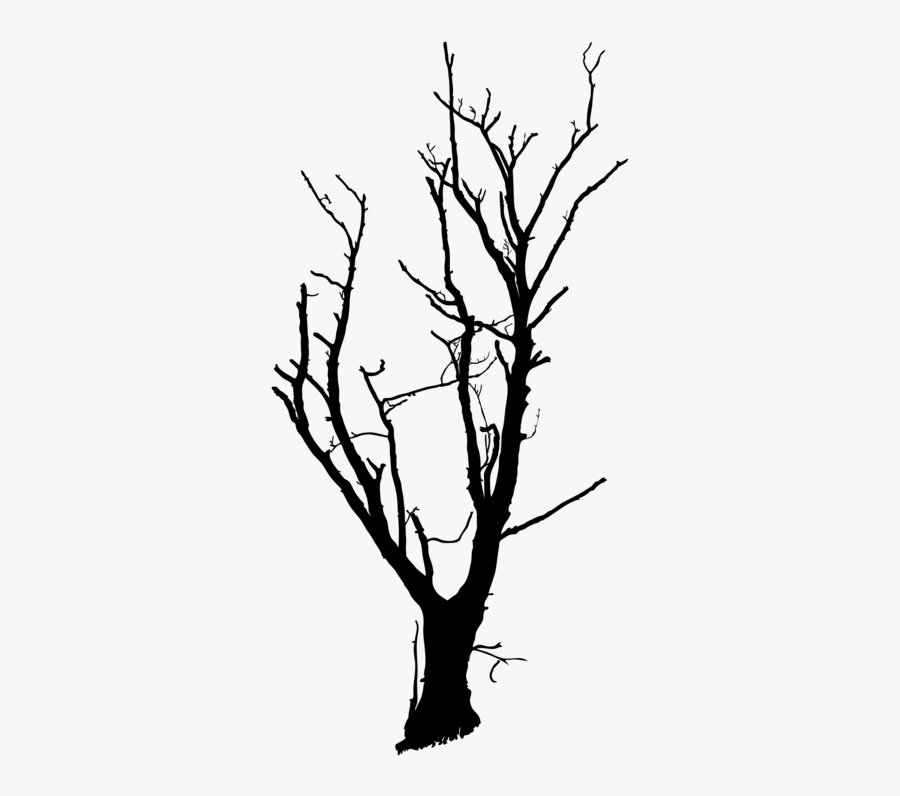 Line Art,plant,flora - Dead Tree Transparent, Transparent Clipart