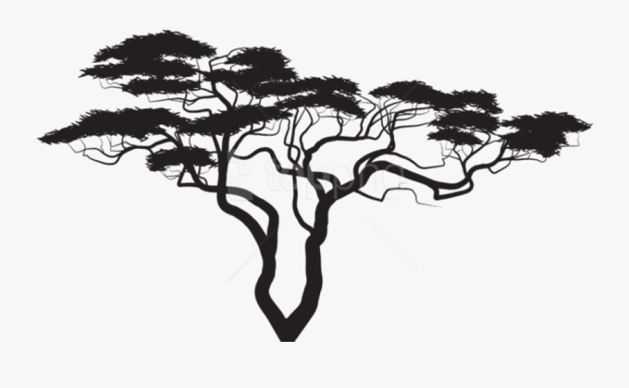 Branch Palm Trees Trunk Clip Art - Transparent African Tree Silhouette, Transparent Clipart