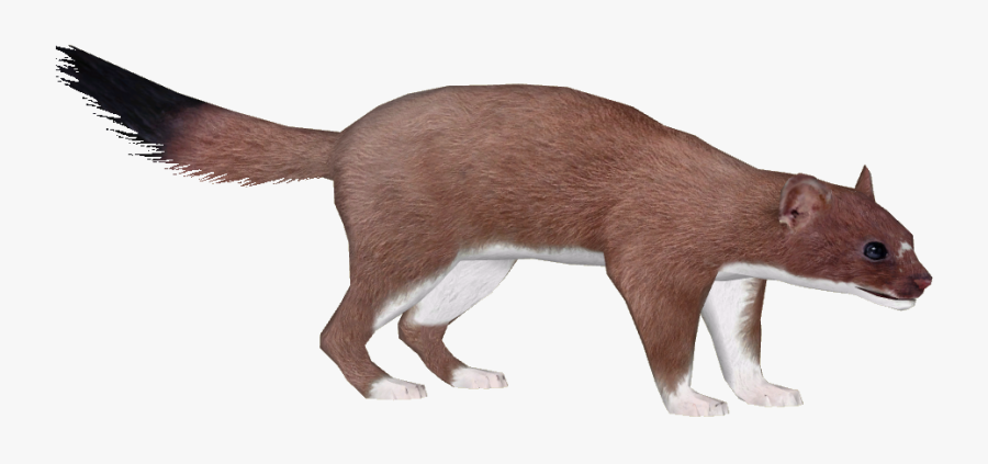 Bigfoot Transparent Zt2 Clip Art Transparent - Armiño Animal Png, Transparent Clipart