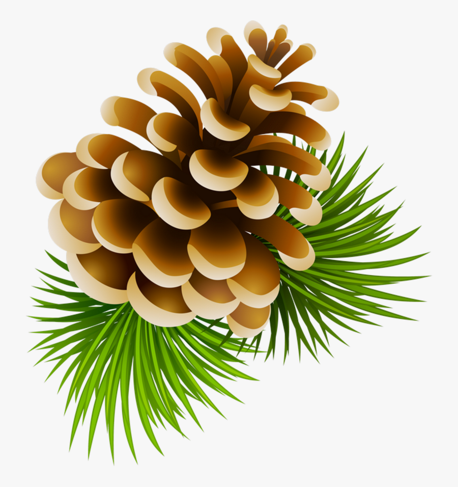 Thumb Image - Clip Art Pine Cones, Transparent Clipart