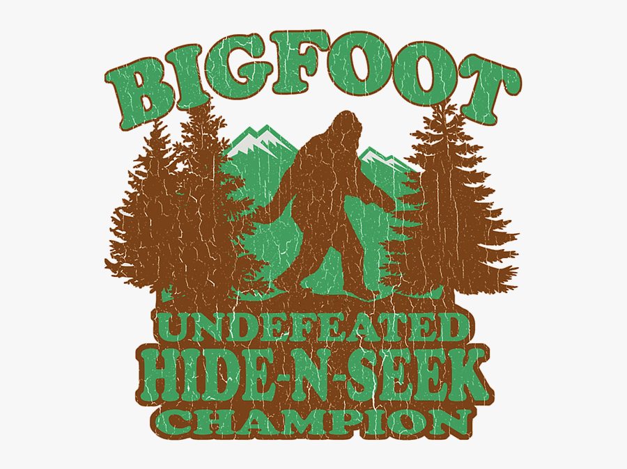 Camp Winnipesaukee, Transparent Clipart