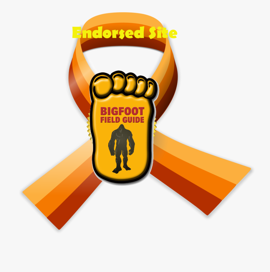 Awards Clip Art, Transparent Clipart