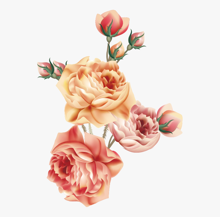 Garden Roses Centifolia Roses Napkin Victorian Era - Victorian Flower Png, Transparent Clipart