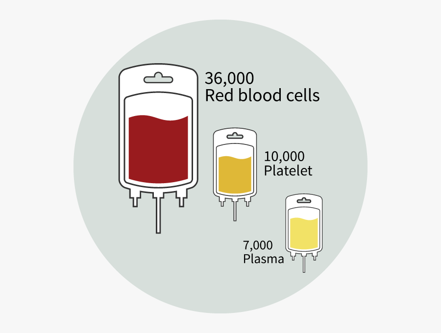 Blood Donation Facts 36,000 Units Of Blood Are Needed - Illustration, Transparent Clipart