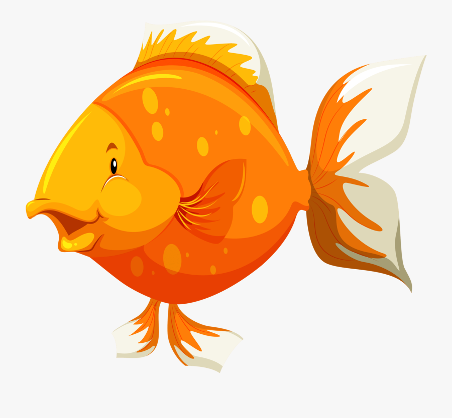 Parts Of The Body Of Fish, Transparent Clipart