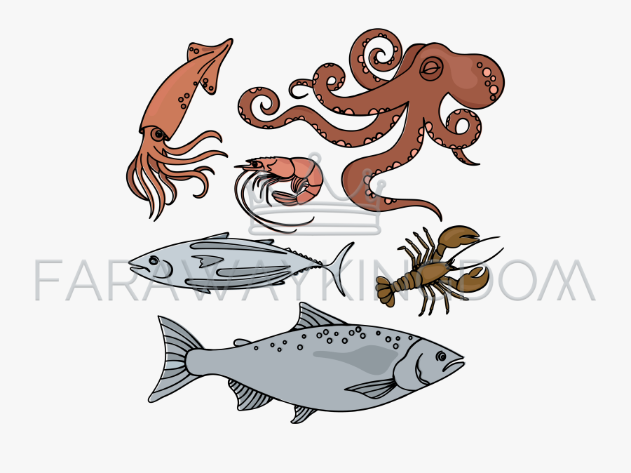 Vector Graphics, Transparent Clipart