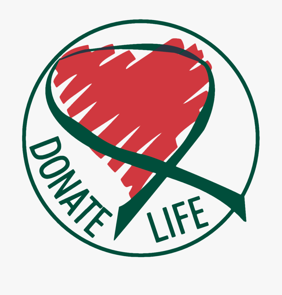 Transparent Organ Png - Organ And Tissue Donation Alberta, Transparent Clipart