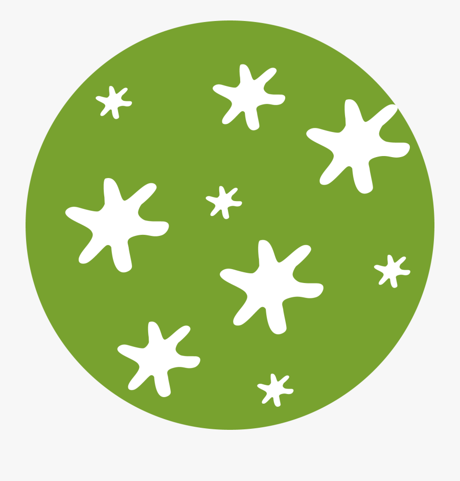 Circle, Transparent Clipart