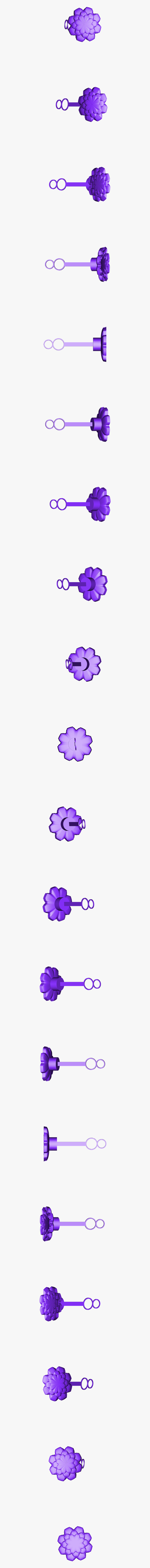 Viola, Transparent Clipart