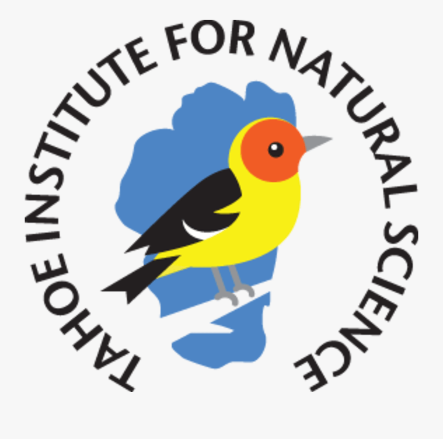 Tahoe Institute For Natural Sciences, Transparent Clipart