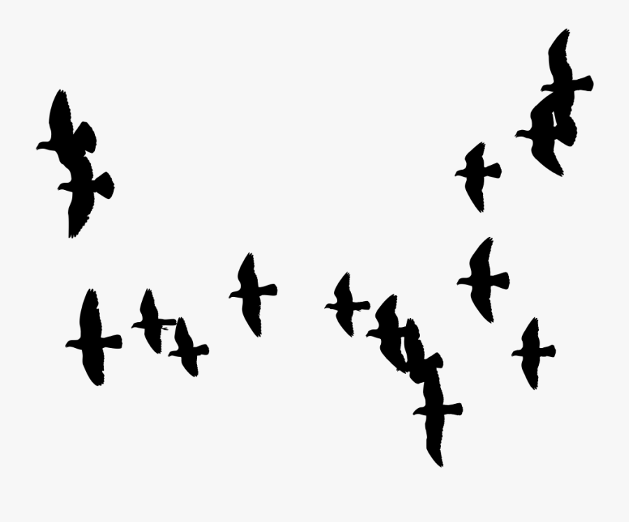 Flock Of Doves Silhouette - John 16 7, Transparent Clipart