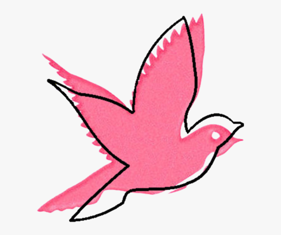 Pigeons And Doves Clipart , Png Download - Draw Outline Bird, Transparent Clipart