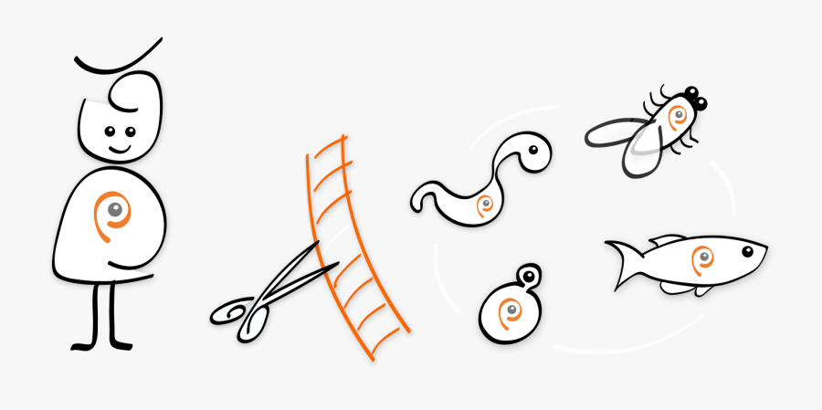 Clip Art, Transparent Clipart