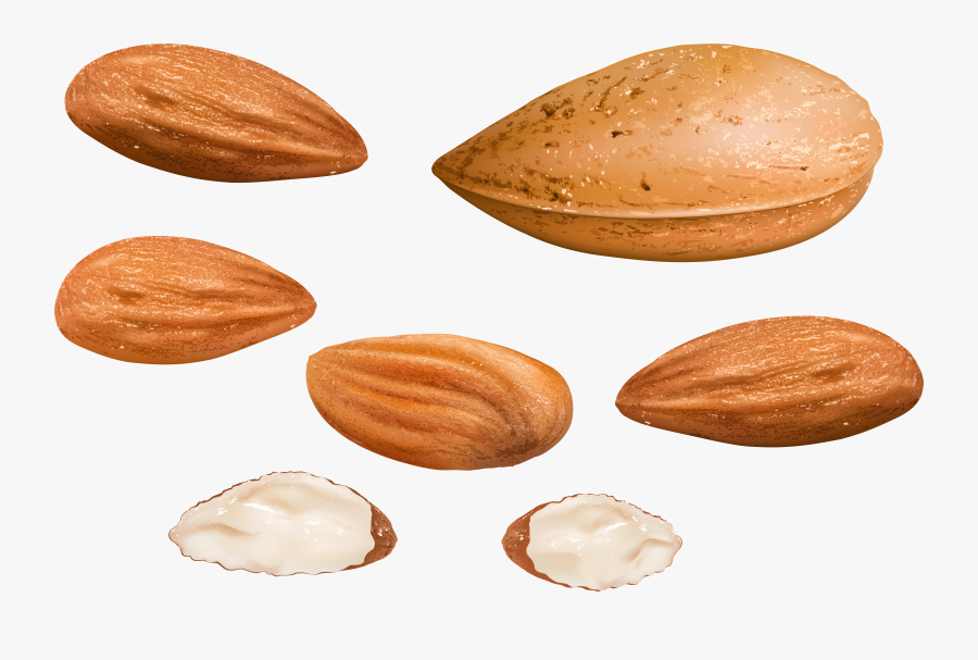 Transparent Nut Png - Almonds Clipart, Transparent Clipart