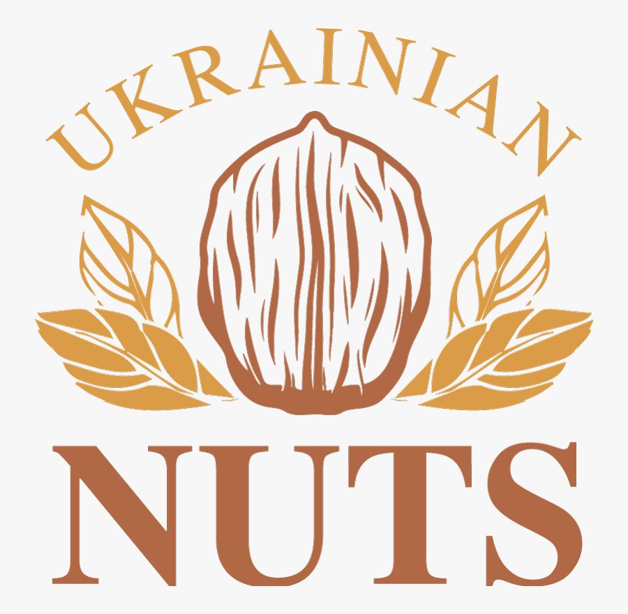 Company - Irish National Youth Ballet, Transparent Clipart