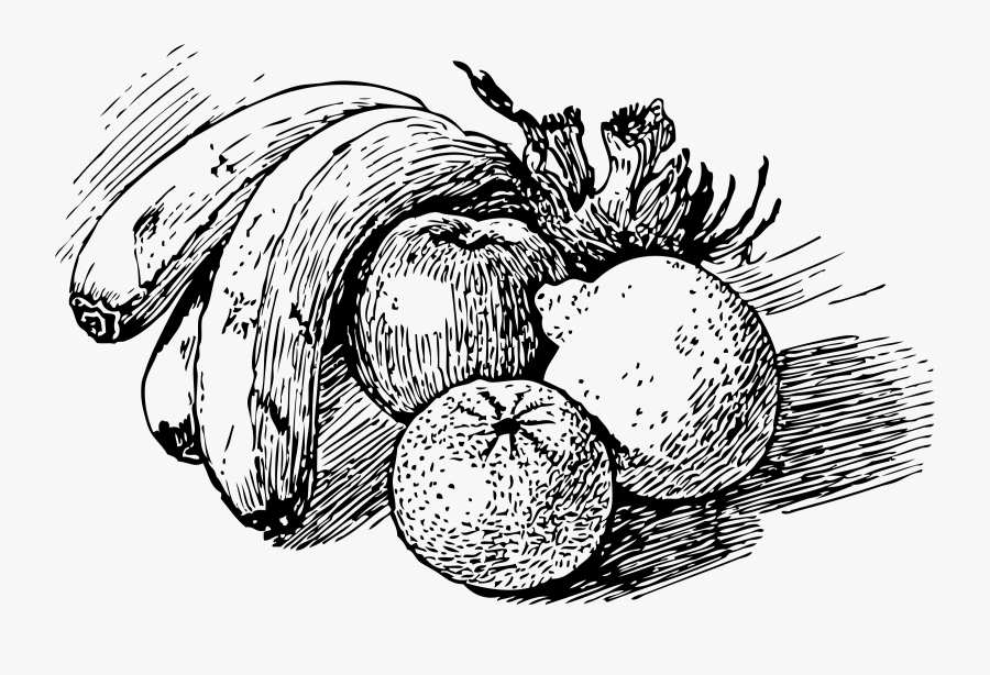Fruit Clip Arts - Pen Still Life Drawing, Transparent Clipart