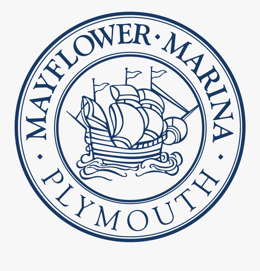 Circle, Transparent Clipart