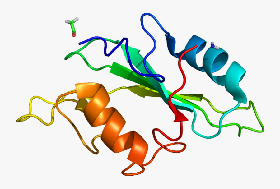 Protein Itk Pdb 1lui No Fog - Itk Enzyme, Transparent Clipart