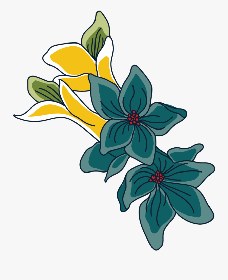 T H E M A Y F L O W E R Boston, Ma 10% Of The Blend - Lily Family, Transparent Clipart