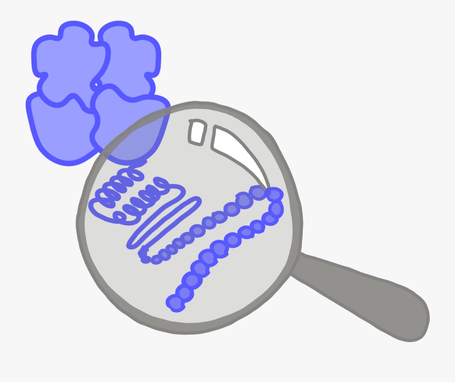 Image Of A Blue Protein Showing Its Secondary And Primary, Transparent Clipart