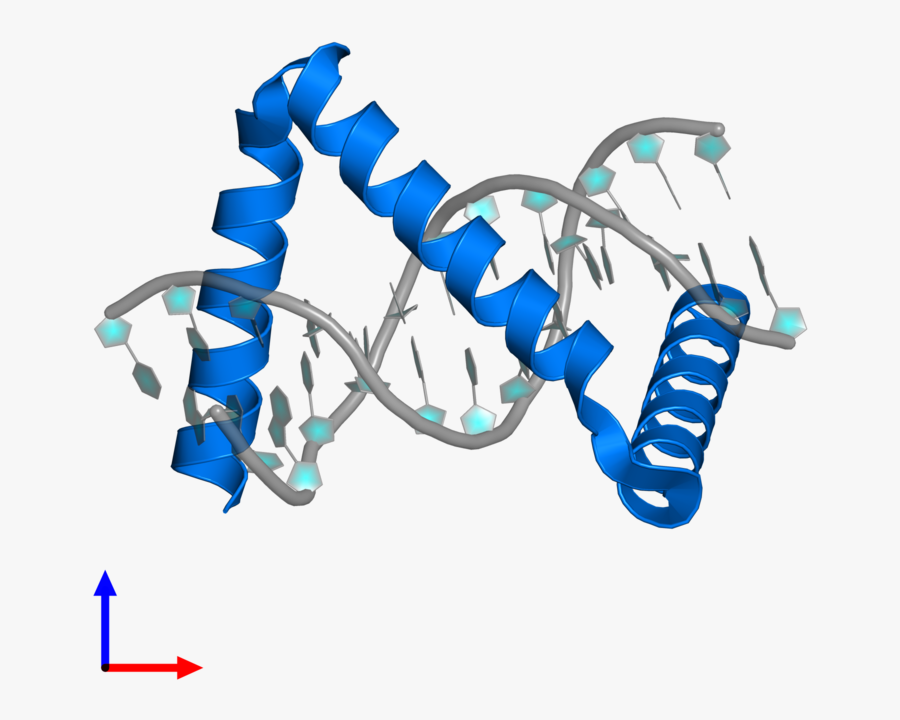 Transparent Protein Clipart, Transparent Clipart