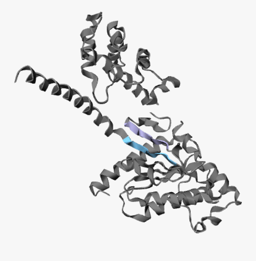 Black And White Structure Of Protein Transparent Background , Free