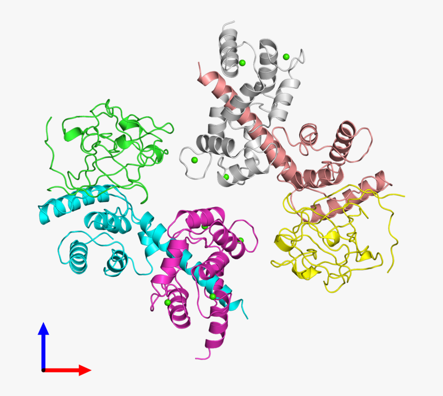Transparent Protein Clipart, Transparent Clipart