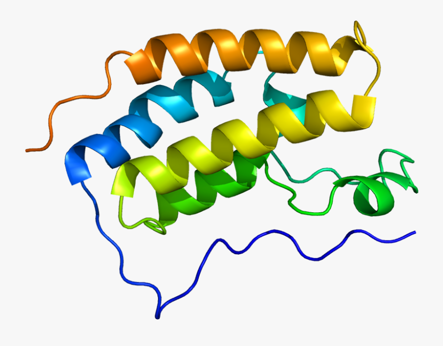"protein Brd4 Pdb 2oss - Brd4 Protein Structure, Transparent Clipart