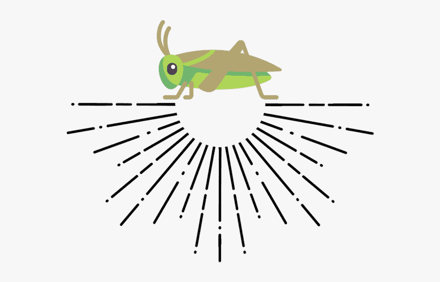 Choose Crickets A Healthy New Nutritional Snack Ⓒ - Protein Cricket, Transparent Clipart