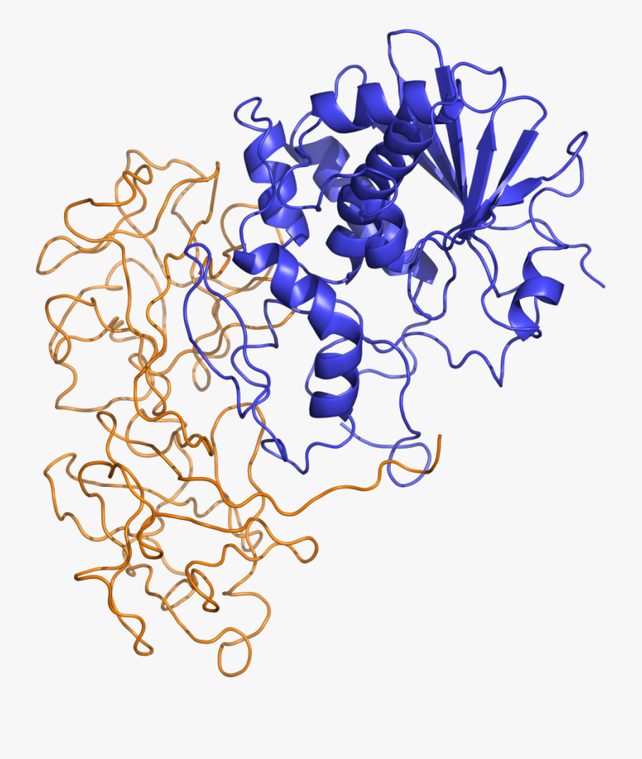 Ricin Toxin, Transparent Clipart