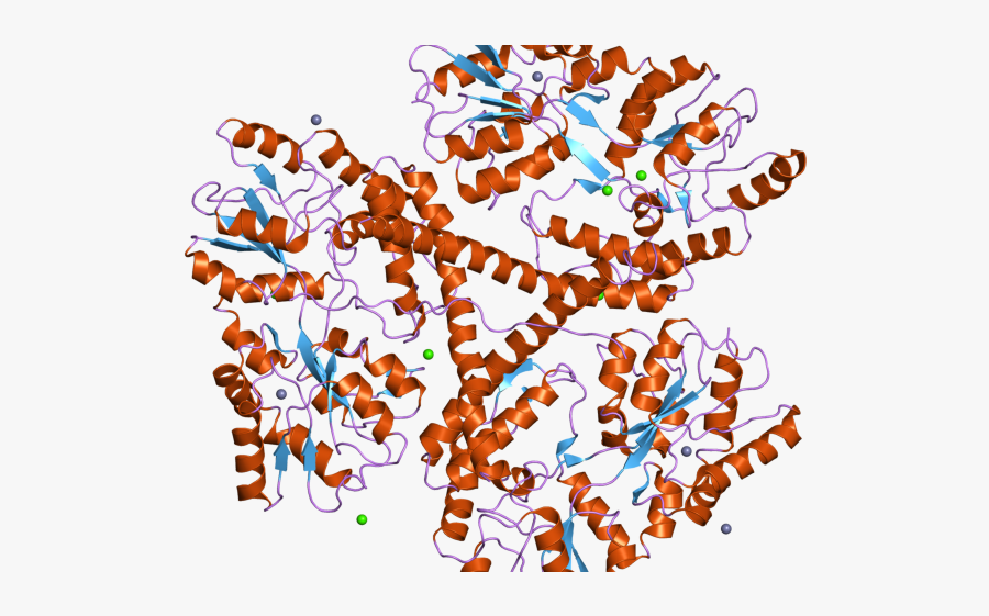 Huntingtin - Huntingtin Gene, Transparent Clipart