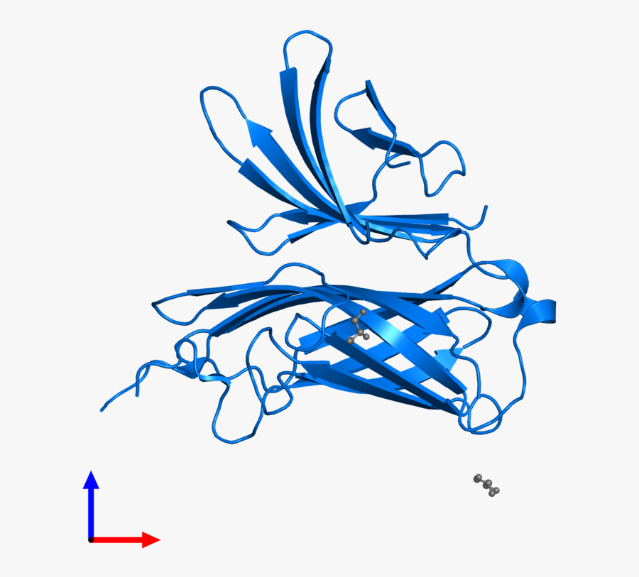 Graphic Design, Transparent Clipart