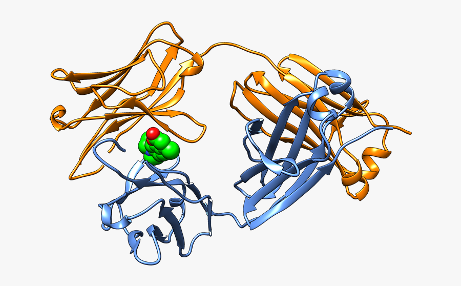 Graphic Design, Transparent Clipart