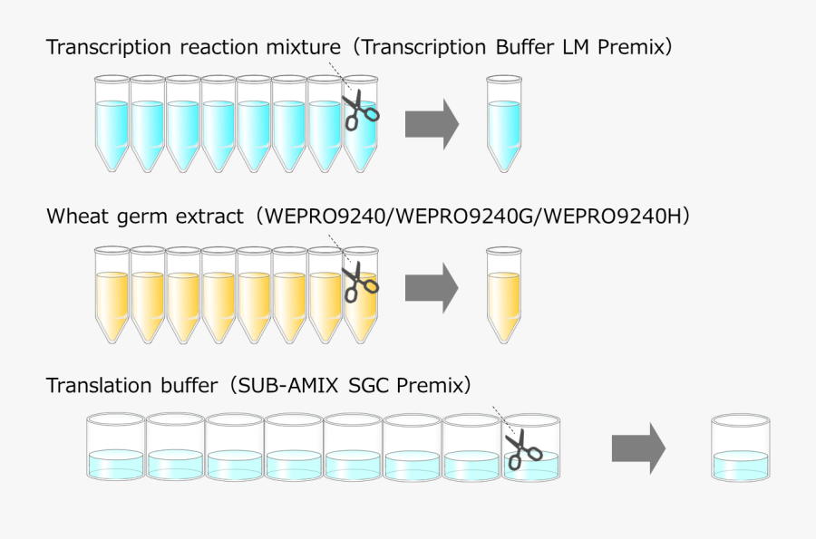 Protein Reseach Kit Img En - Guinness, Transparent Clipart