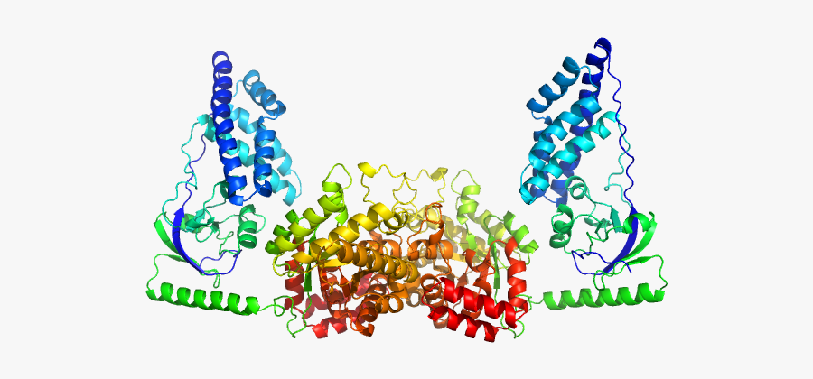 Phosphotransferase Pdb Model"
				title="load 3d, Transparent Clipart