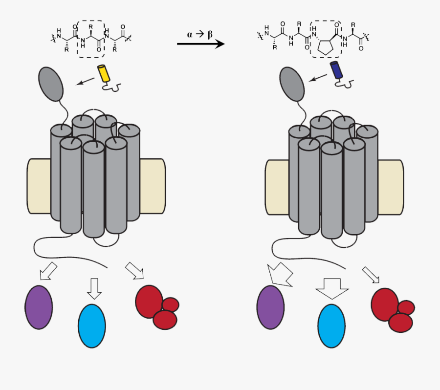 Illustration, Transparent Clipart