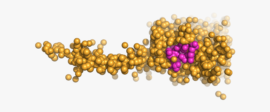 Illustration, Transparent Clipart