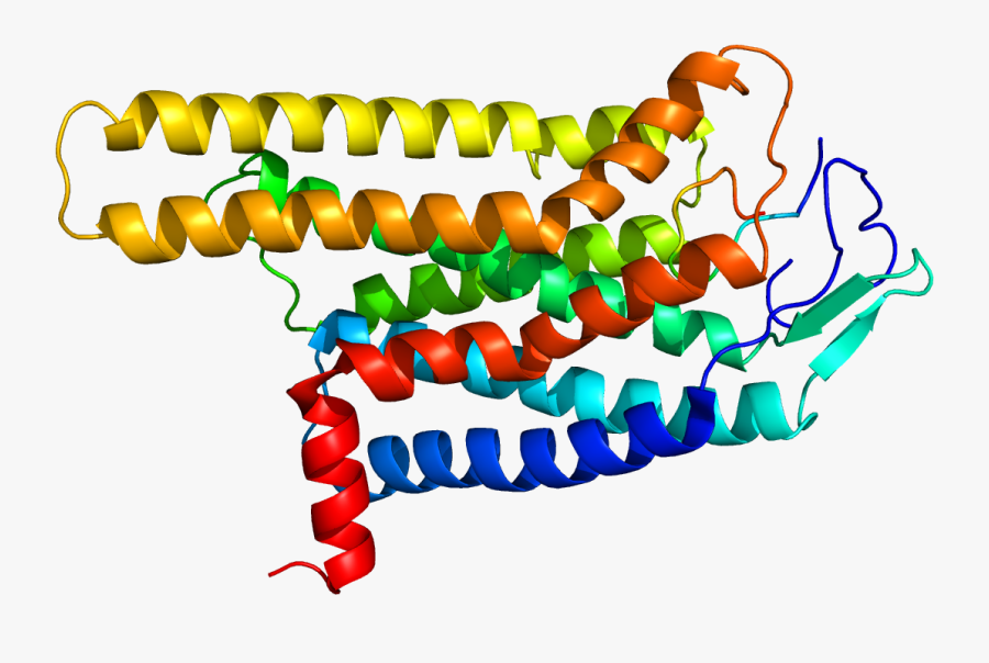 Protein Mc4r Pdb 2iqp - Melanocortin 1 Receptor Crystal Structure, Transparent Clipart