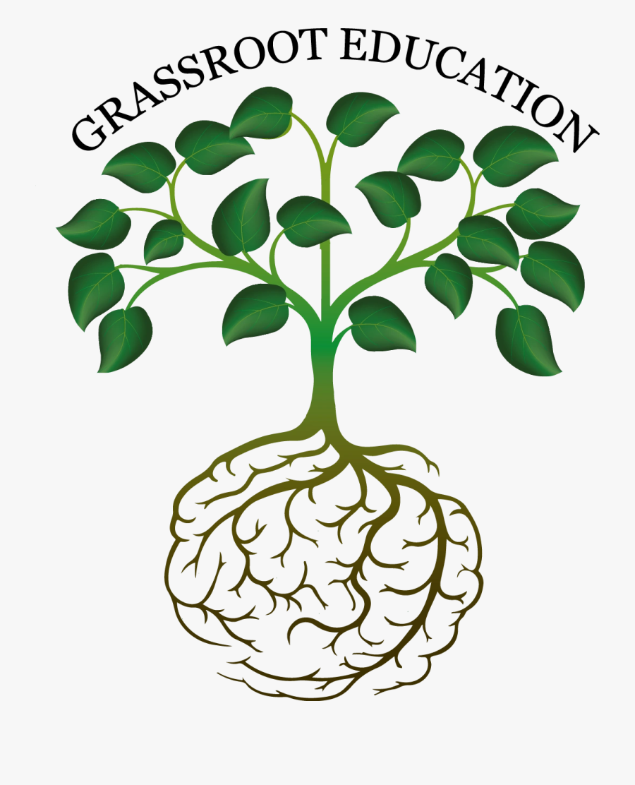 Grassroot Education, Transparent Clipart