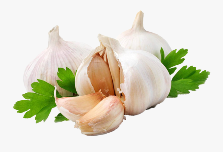 Download Garlic Png Image - Garlic Png, Transparent Clipart