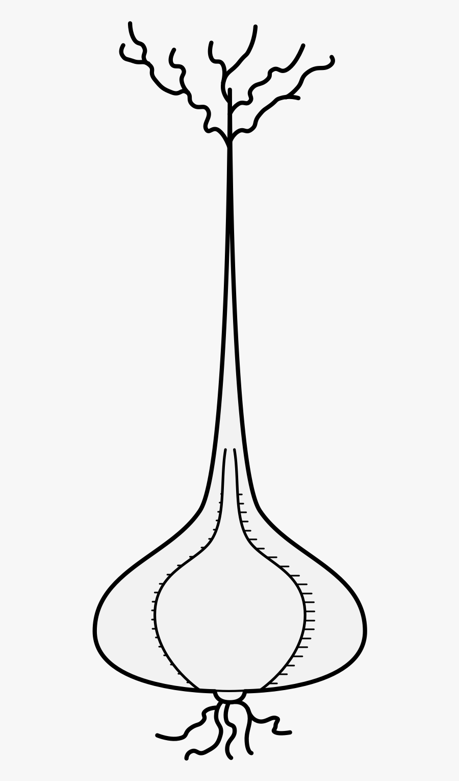 Line Art, Transparent Clipart