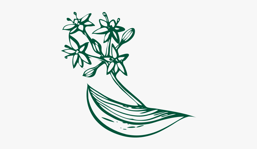 Illustration, Transparent Clipart