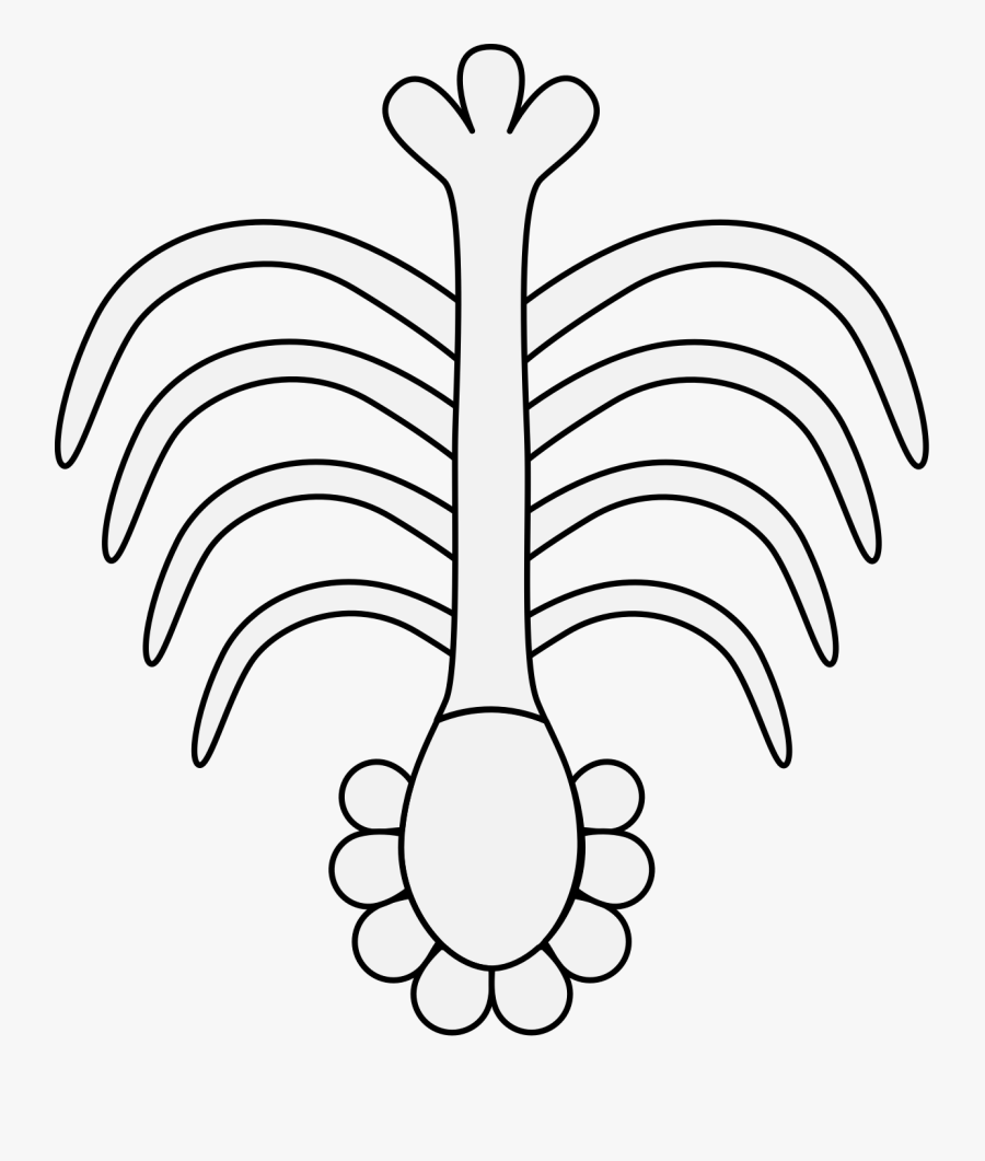 Line Art, Transparent Clipart