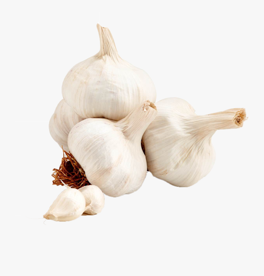 Garlic Png Transparent Images - Elephant Garlic, Transparent Clipart
